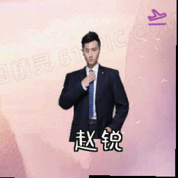 赵锐